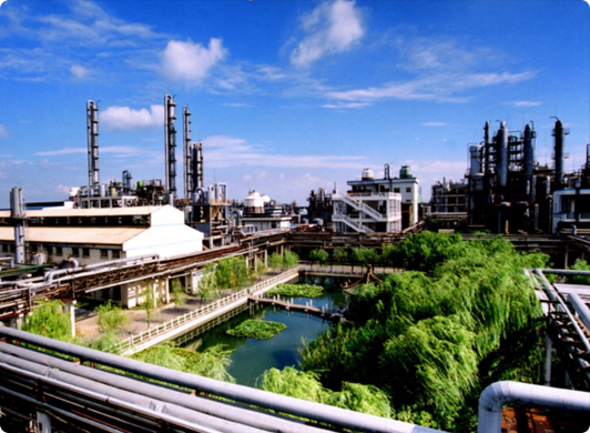 Öл¯ÑïÅ©¡°Í˳ǽøÔ°¡±