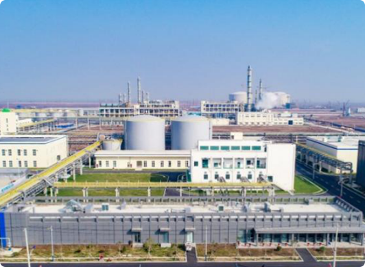 Yangnong Group��s Relocation